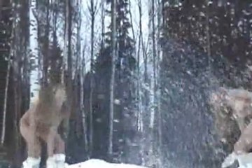 Голые девушки бегают голышом по снегу