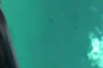 Телочка любит ласкать свое тело