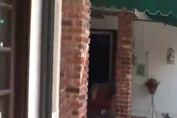 Телочка любит ласкать свое тело