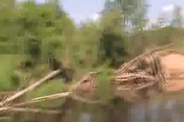Симпотичная парочка отправилась на рыбалку