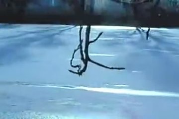 Перекур с минетом на свежем воздухе