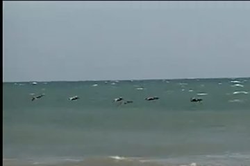 Порно спасателей Малибу на яхте