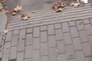 Парень с подругой отправляются на прогулку в лес