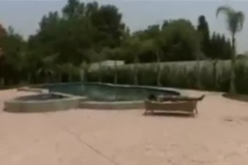 Хороша чёрная стройная милашка

