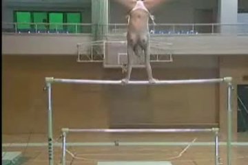 Русская гимнастика упражняется топлесс