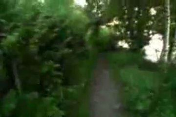 Трахай симпатичную нимфоманку летом в лесу