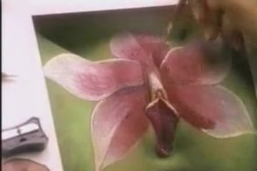 Прекрасный рисунок на киске девушки