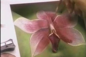 Прекрасный рисунок на киске девушки