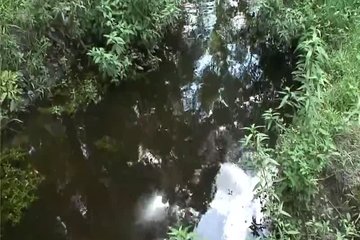 В парке парень встречает двух очаровательных подруг