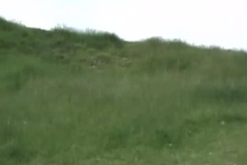 Британская провинциалка отдыхает на природе