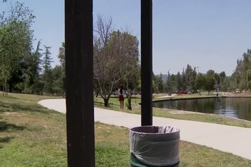 Мужик потерял кошку, но нашёл симпотичную киску