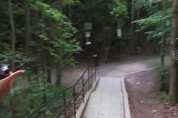 Блондинка на прогулке немного подзаработала
