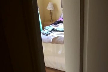 Парень застал свою подругу за милыми шалостями