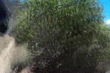 Чернокожая парочка в палатке на свежем воздухе приятно проводит своё время