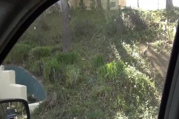 Парнишка страстно поимел сучку
