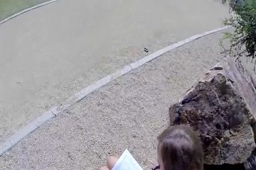 Притащил домой шлюшку с улицы
