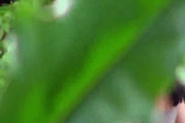 Помог переселиться и обновить жилище соседке