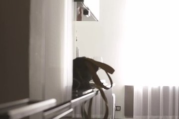 Блонди прервала игру на скрипке ради пропихона
