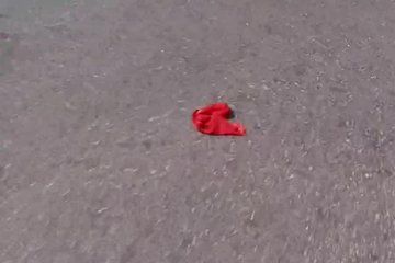 Сногсшибательная брюнетка трахается только с мажорами