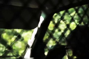 Совращает баб в своей тачке