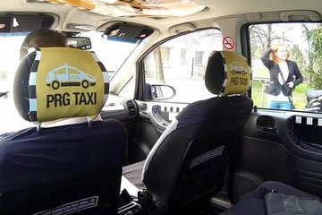 Таксист завез телочку в безлюдное место и развел ее на секс