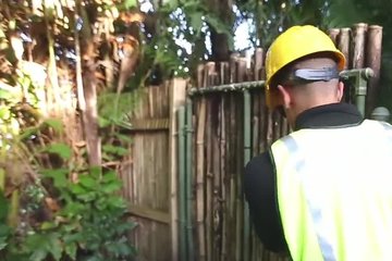 Нашел голую девушку в лесу и устроил развратный трах с ней
