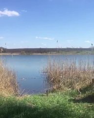 Русский мужик рассказывает о том, как правильно жарить шашлык и девушку