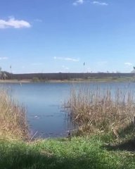 Русский мужик рассказывает о том, как правильно жарить шашлык и девушку