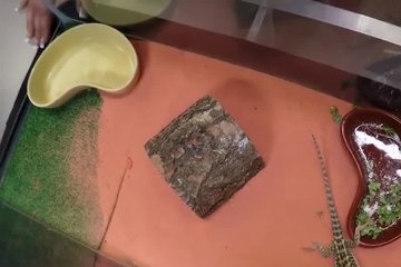 Владелец ломбарда трахает молодую телку в подсобке
