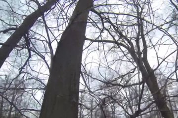 Пикапер развел незнакомку на минет и на порку в пилотку