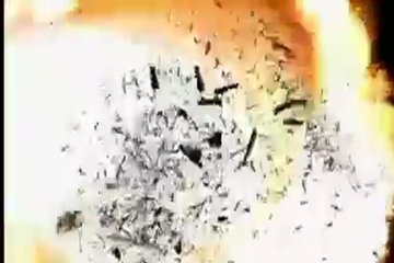 Не упустили возможности отсосать член