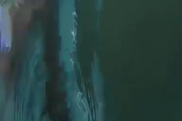 Тащится по сочным чёрным задницам