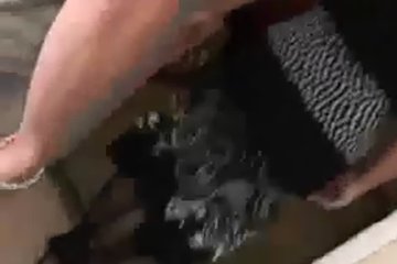 Зрелая сучка трахнула мужа и его друга
