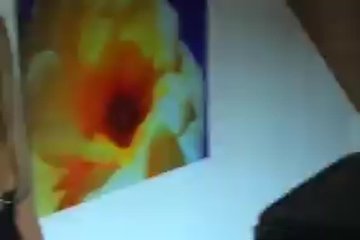 Никогда не перестают искать приключений