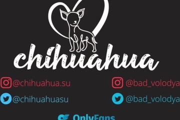 Татуированная телка принимает ванну и заглатывает член парня