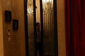 Пожаловала ко своему соседу в гости на пару палок чая