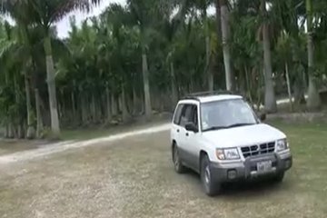 Девушки любят оголяться